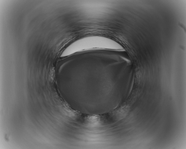 X0000099950325200806131453