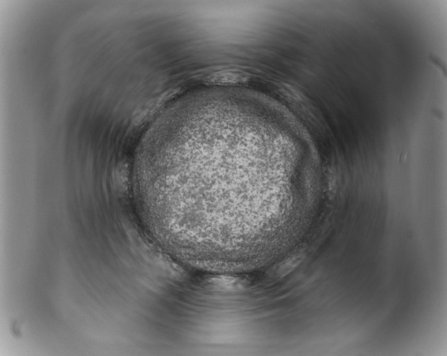 X0000099950326200806131453