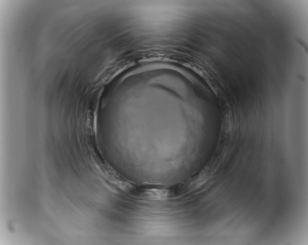 X0000099950328200806131453