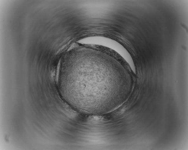 X0000099950329200806131453