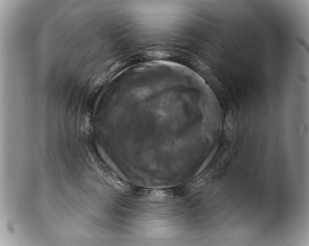 X0000099950330200806131453
