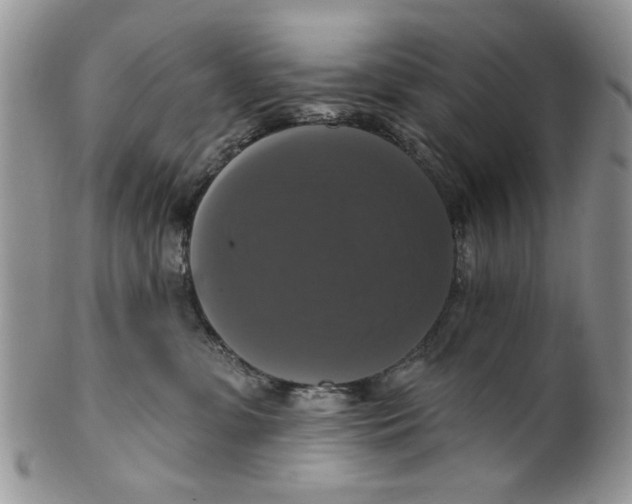 X0000099950331200806131453