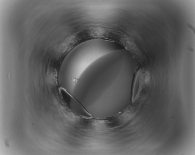 X0000099950332200806131453