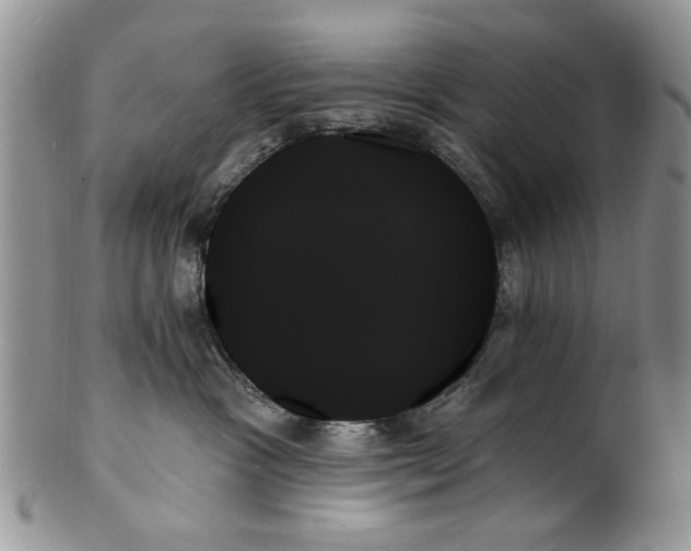 X0000099950333200806131453