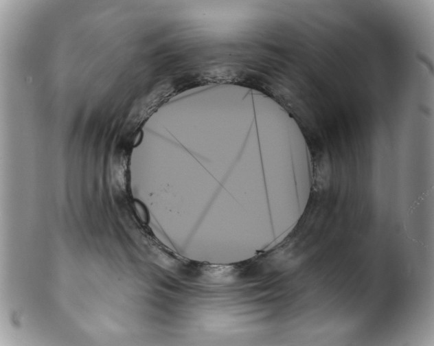 X0000099950334200806131453