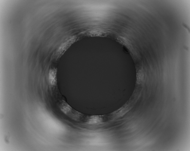 X0000099950335200806131453