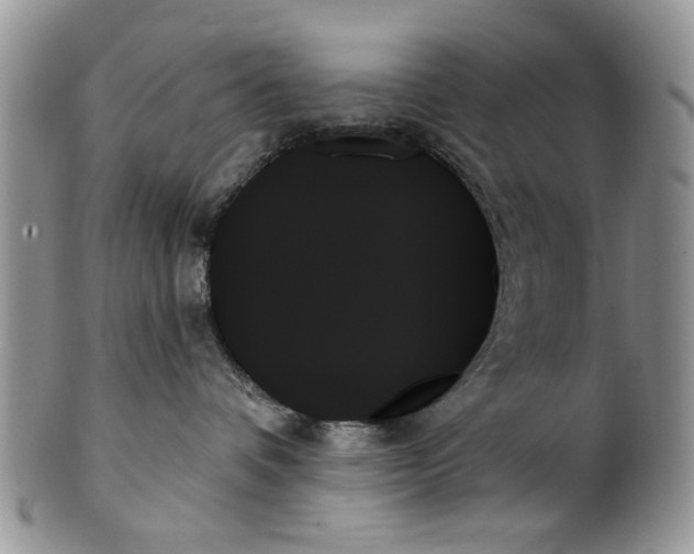 X0000099950336200806131453