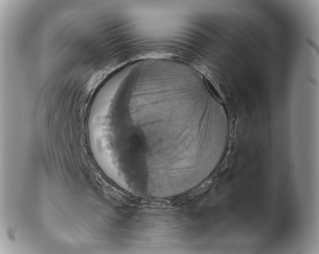 X0000099950337200806131452