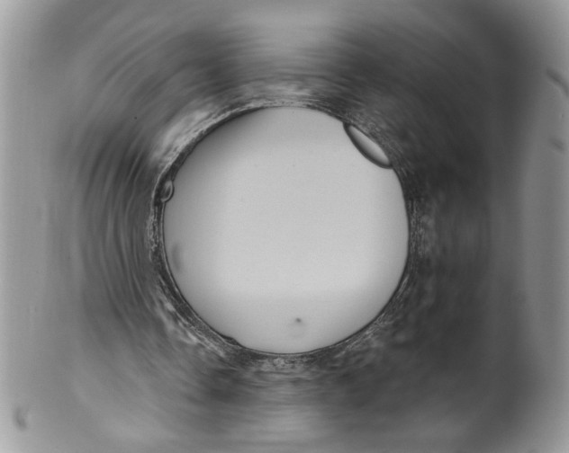 X0000099950338200806131452