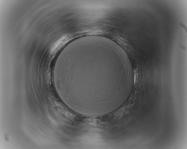X0000099950339200806131452