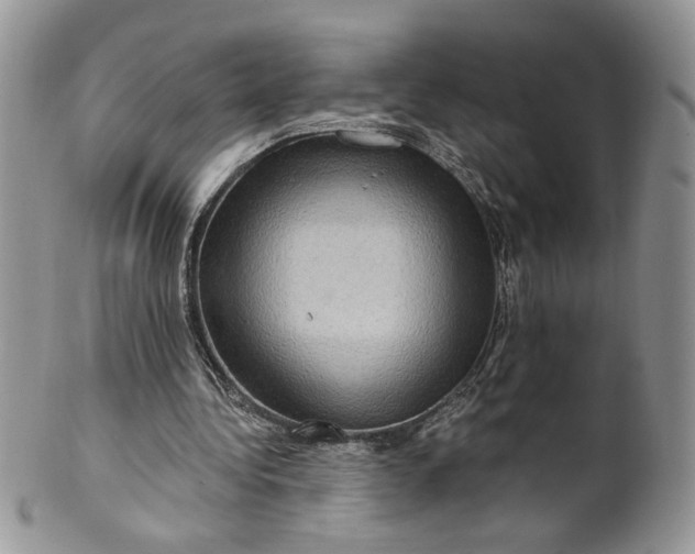 X0000099950340200806131452