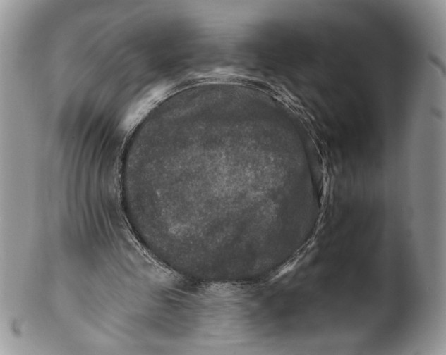 X0000099950341200806131452