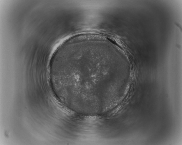 X0000099950342200806131452