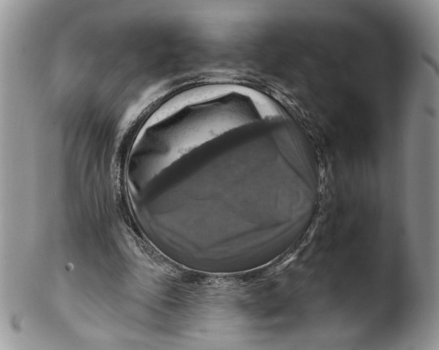 X0000099950343200806131452