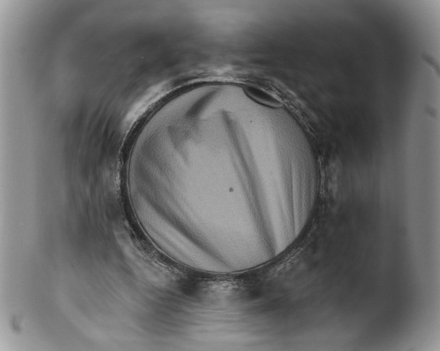 X0000099950344200806131452