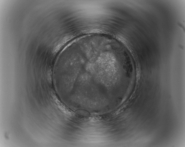 X0000099950345200806131452
