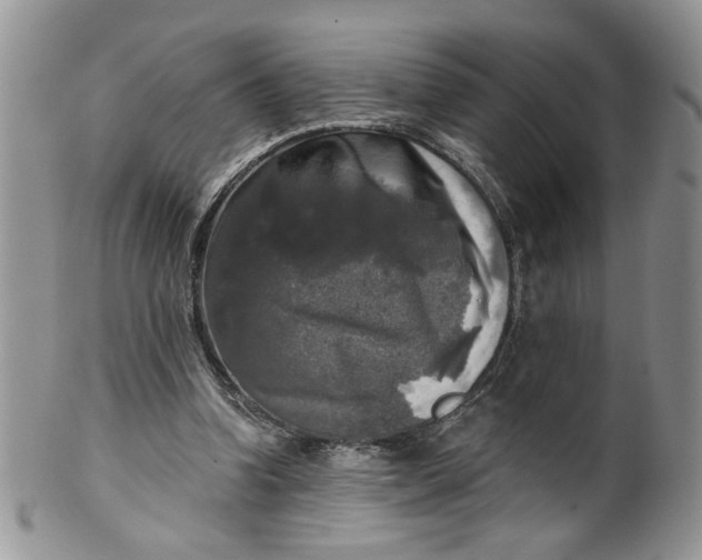 X0000099950346200806131452
