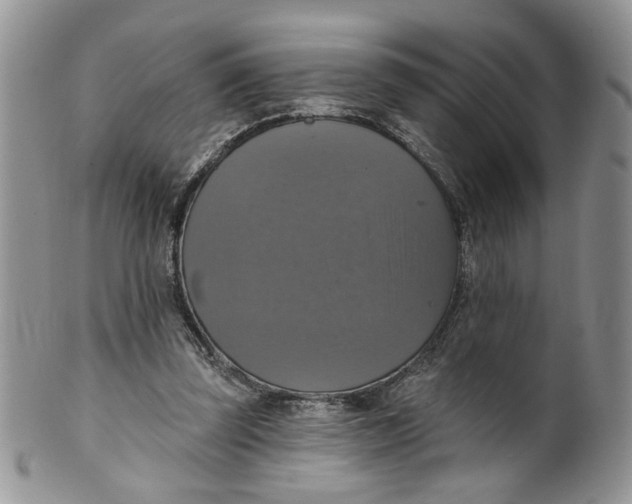 X0000099950347200806131452