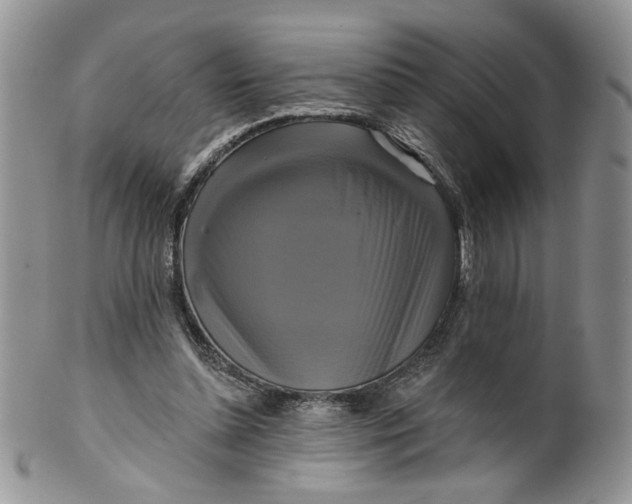 X0000099950348200806131452