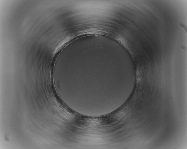 X0000099950349200806131453