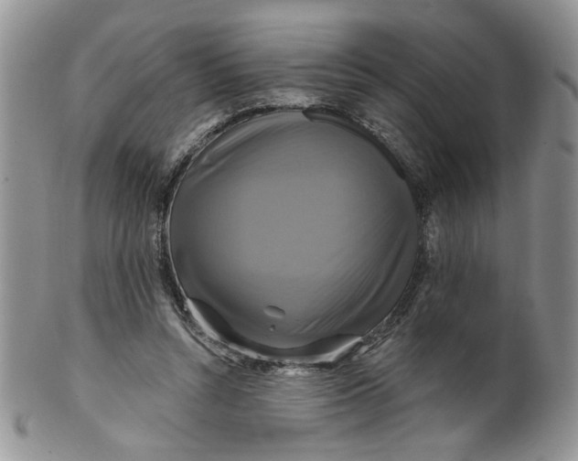 X0000099950352200806131453