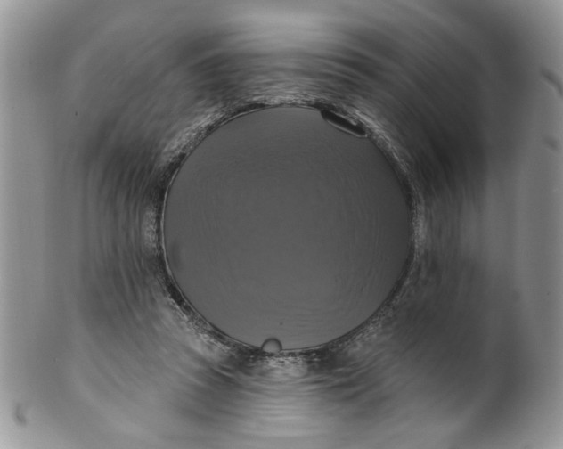 X0000099950353200806131453