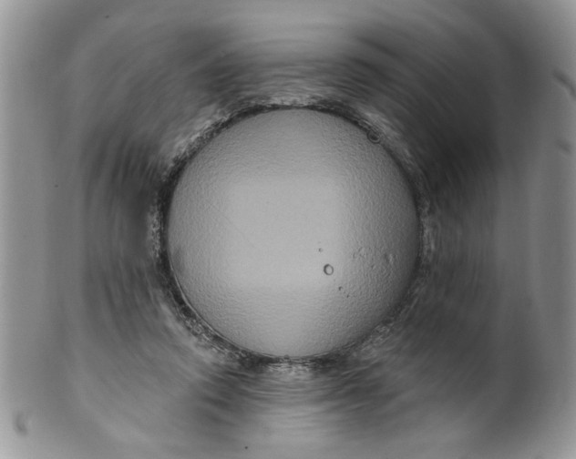X0000099950354200806131453