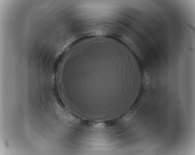 X0000099950355200806131453