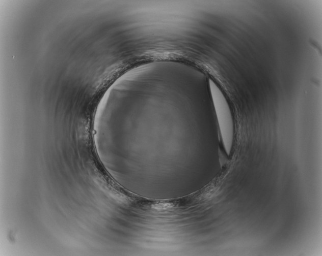 X0000099950357200806131453