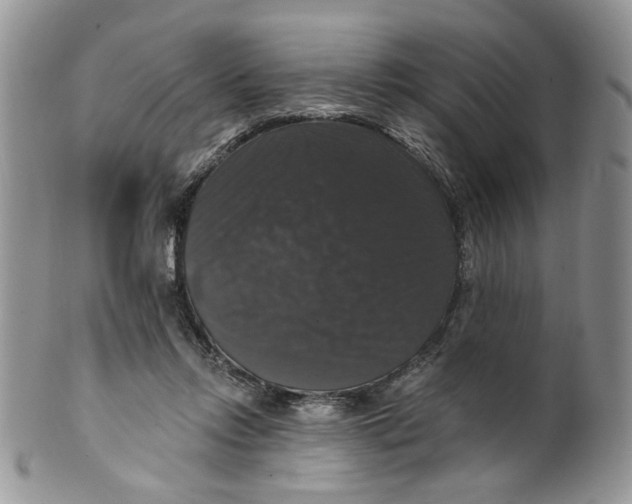 X0000099950358200806131453
