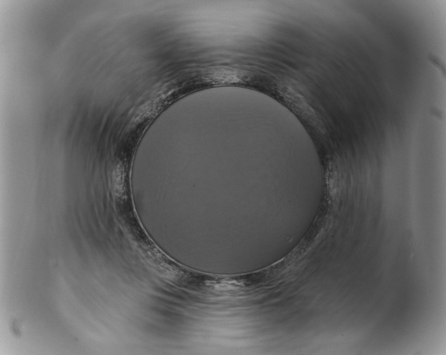 X0000099950359200806131453