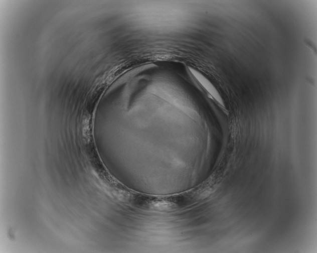 X0000099950360200806131453