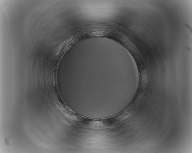 X0000099950361200806131453