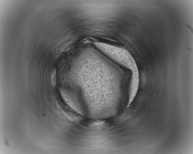 X0000099950364200806131453