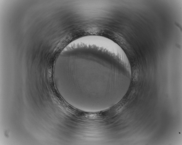 X0000099950365200806131453
