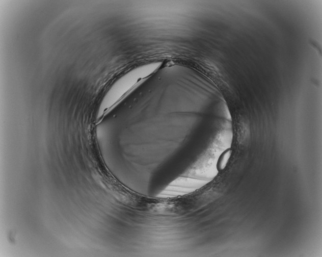 X0000099950366200806131453