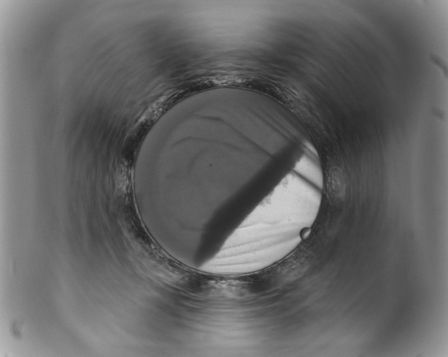 X0000099950367200806131453