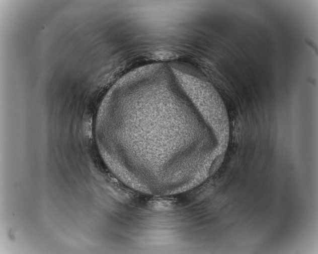 X0000099950368200806131453