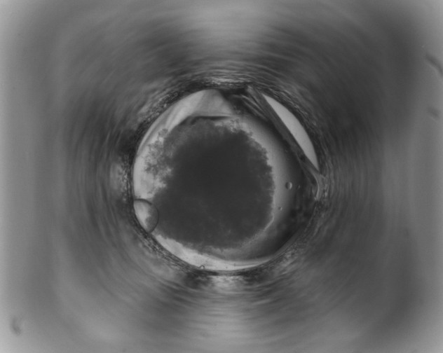 X0000099950371200806131453