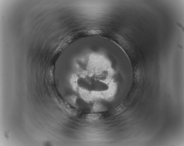 X0000099950373200806131453