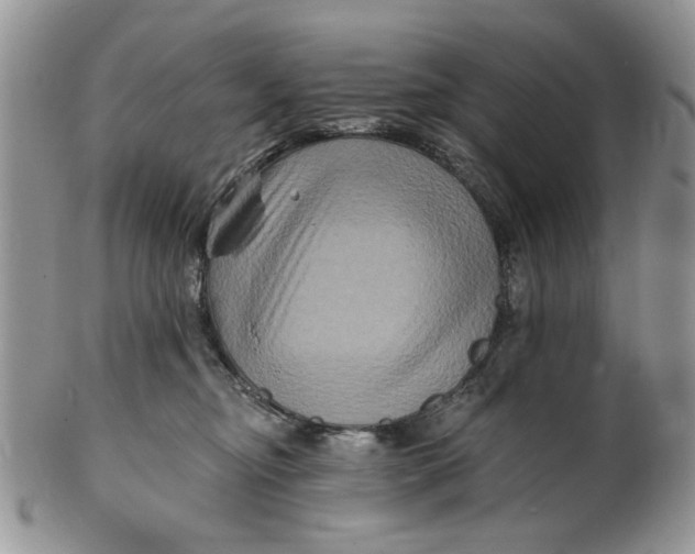 X0000099950374200806131453
