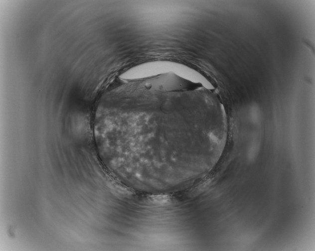 X0000099950377200806131453