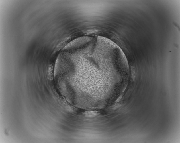 X0000099950378200806131453