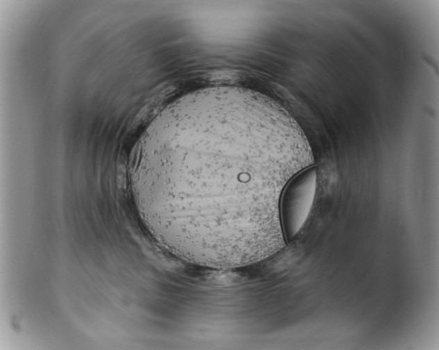 X0000099950379200806131453