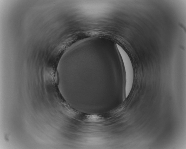 X0000099950380200806131453