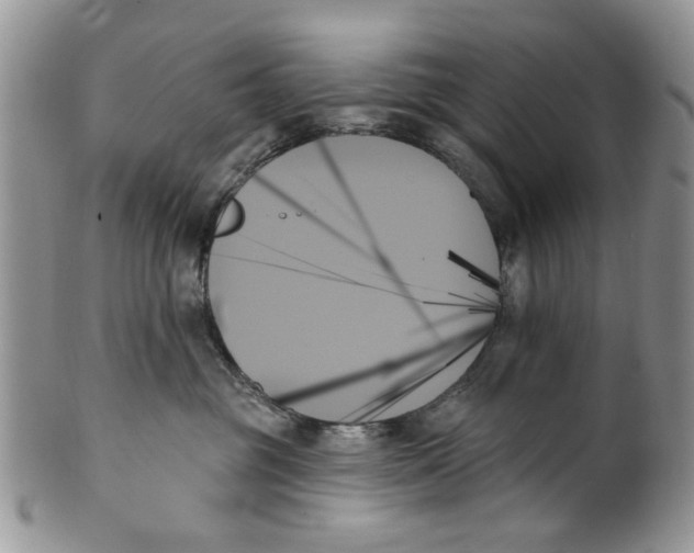 X0000099950381200806131453