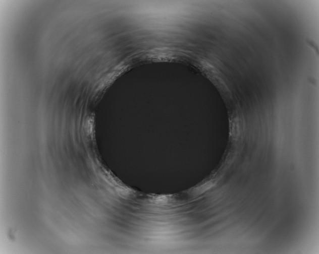 X0000099950382200806131453