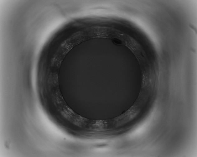 X0000099950383200806131453