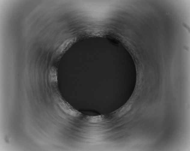 X0000099950384200806131453