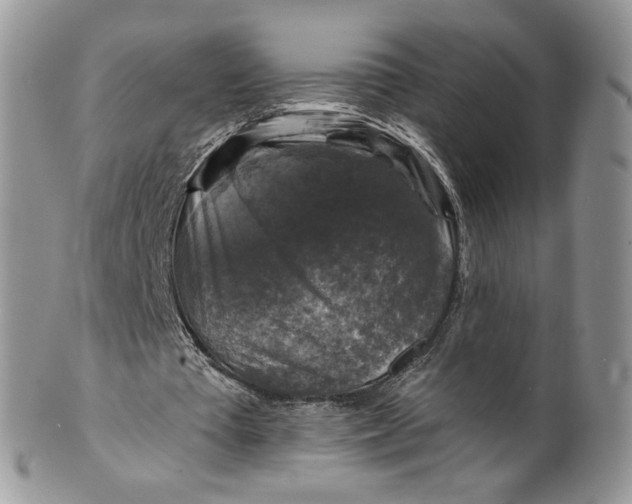 X0000099950385200806131452